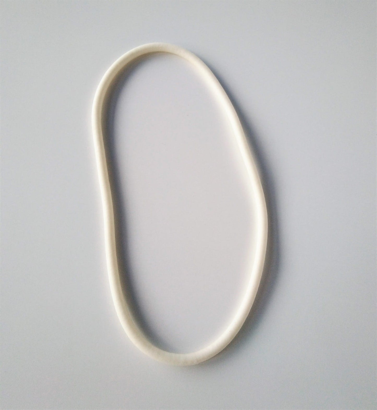 Sealing Ring 70064296